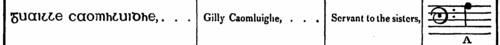 Guaille caomhluidhe