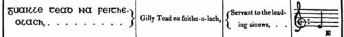 Guaille tead na feitheolach