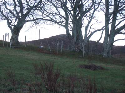 site of Cross House