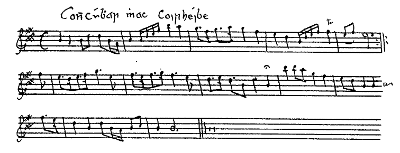 ms5 p.20